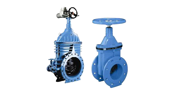 Water system control valve