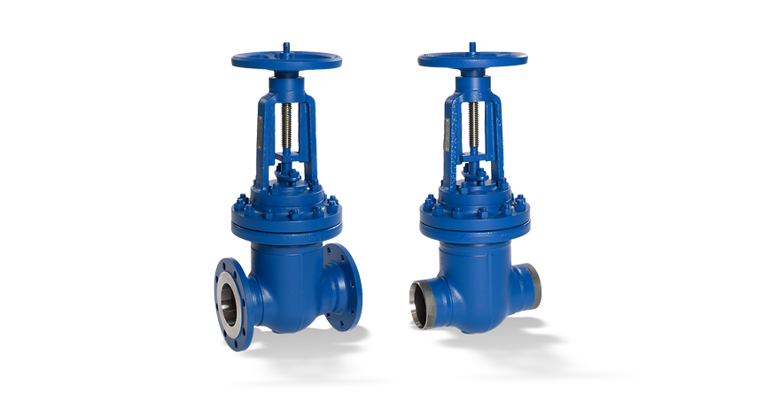 Power station valve