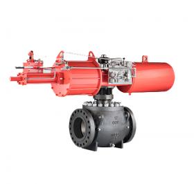 Trunnion-mounted ball valve