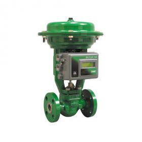 Diaphragm control valve